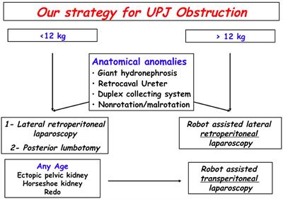 Retroperitoneal Approach for Ureteropelvic Junction Obstruction: Encouraging Preliminary Results With Robot-Assisted Laparoscopic Repair